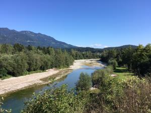 IMG_0799